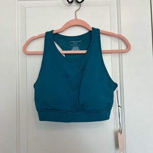 Sincerely Jules Teal Sports Bra